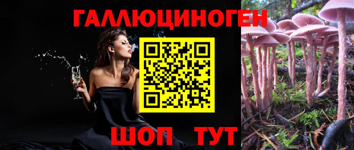 цены наркотик  Вход с VPN  Сыктывкар  Псилоцибиновые грибы MAGIC MUSHROOMS 