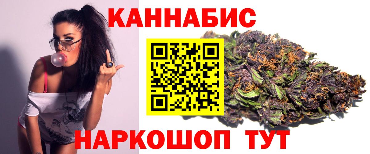 Бошки марихуана конопля Сыктывкар